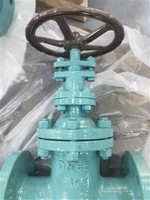 Non-rising Stem Gate Valve