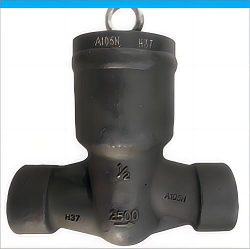 Non Return Valve 2500LB