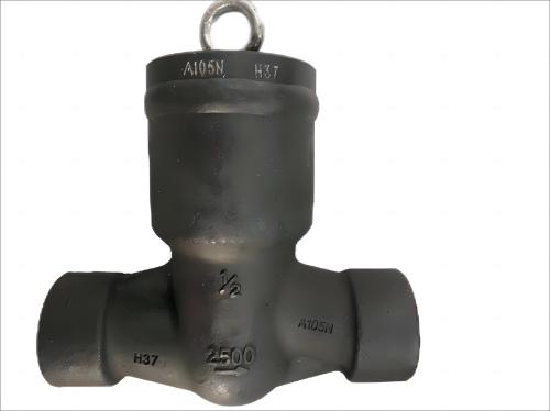 Non Return Valve 2500LB
