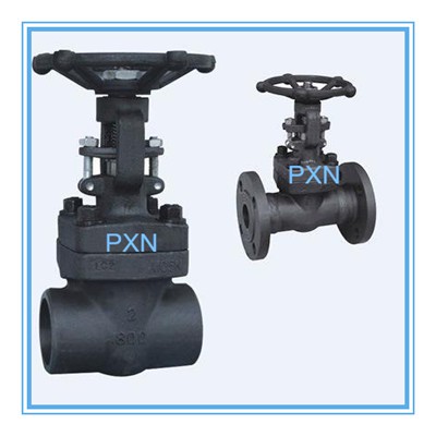 API 602 Forged Gate Valve