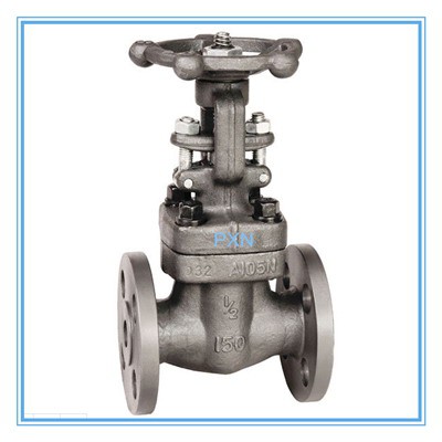 API 602 Forged Gate Valve