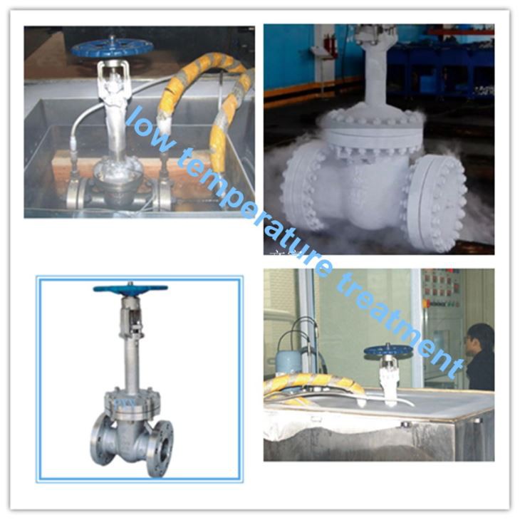 Cryogenic Gate Valve