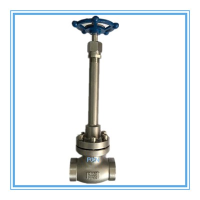 Cryogenic Globe Valve