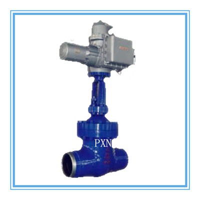 Flushing Valve