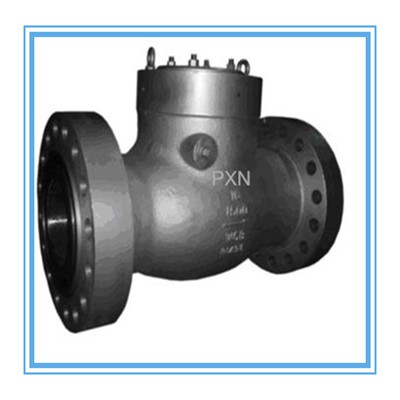 Pressure Seal Check Valve