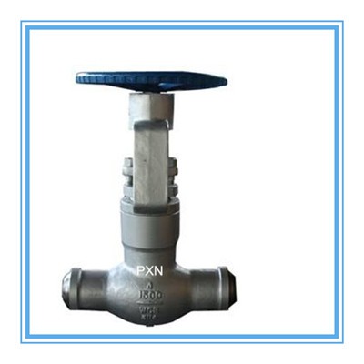 Pressure Seal Globe Valve