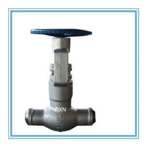Pressure Seal Globe Valve