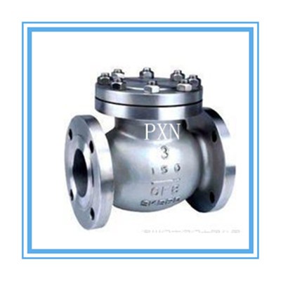 Stainless Steel Check Valve