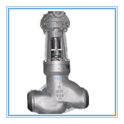 Straight Globe Valve with BW End