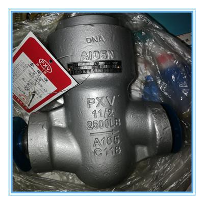 Straight Globe Valve With BW End