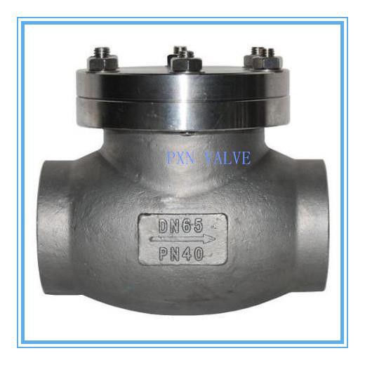DIN Stainless Steel Swing Check Valve PN40