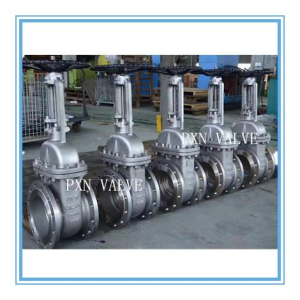 DIN Gate Valve PN16/PN25/PN40/PN63/PN100