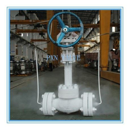 Low Temperature Cryogenic Globe Valve
