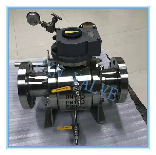 Forged Pig Valve