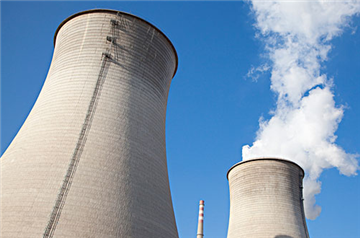 Nuclear Power Generation Used Check Valve