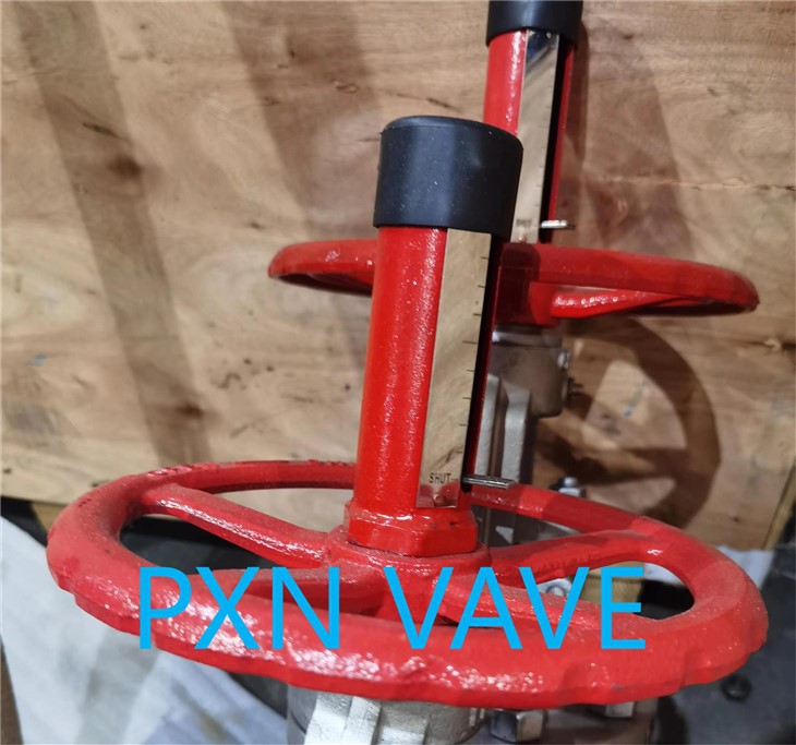 Gate Valve With Position Indicator